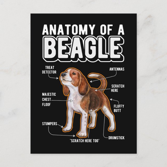 Cartão Postal Anatomia de Beagle Cachorro Engraçado (Frente)