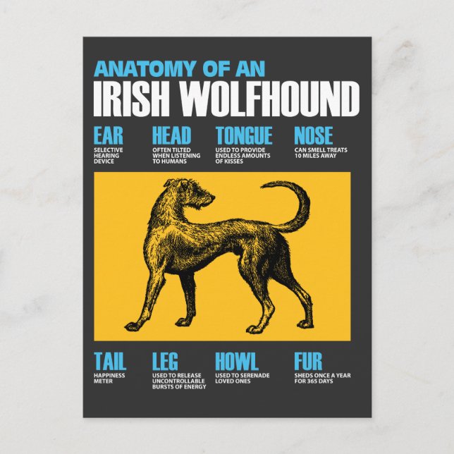 Cartão Postal Anatomia De Um Cão De Wolfhound Irlandês - Puppy L (Frente)