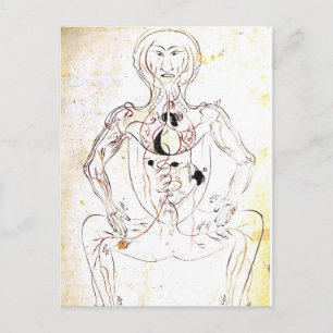 Cartão Postal Anatomia dianteira médica persa do século XIII d