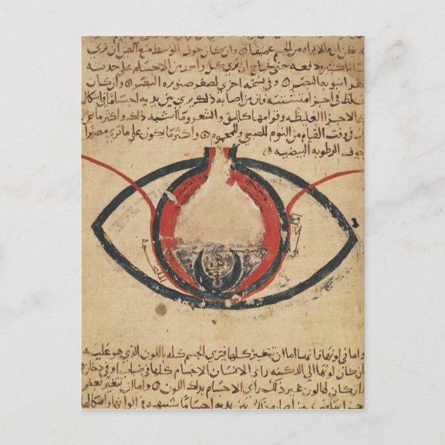 Cartão Postal Anatomia do Olho, a partir de um livro sobre doenç (Frente)