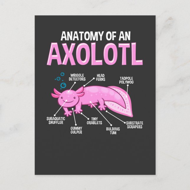Cartão Postal Anatomia Engraçada Axolotl Biologia Amphibia Cuta (Frente)