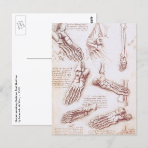 Cartão Postal Anatomia humana Pés-Ossos por Leonardo da Vinci