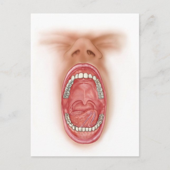 Cartão Postal Anatomy Of Human Mouth Cavity (Frente)
