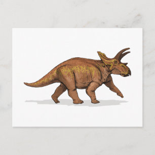 Cartão Postal Anchiceratops Dinossaur