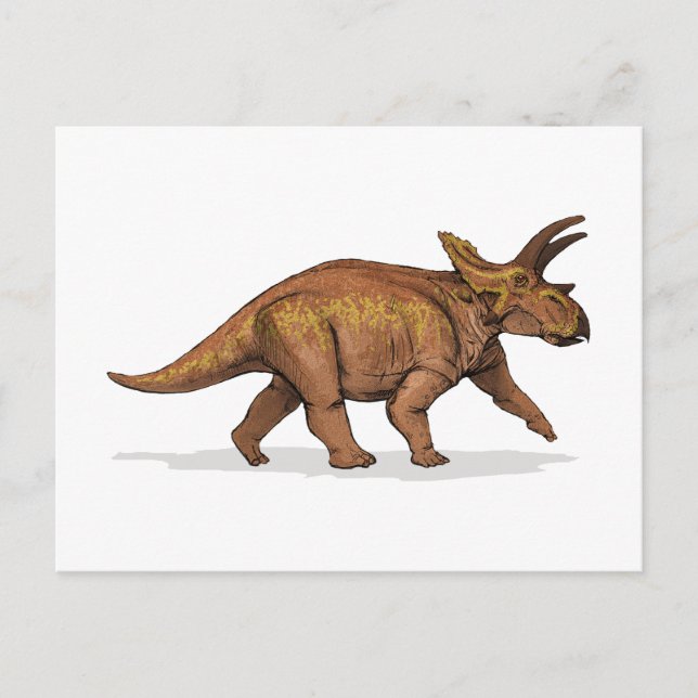 Cartão Postal Anchiceratops Dinossaur (Frente)
