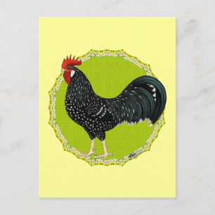 Cartão Postal Ancona Rooster