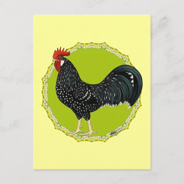 Cartão Postal Ancona Rooster (Frente)