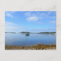 Ancoração Nas Ciências