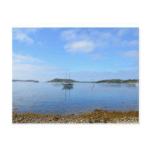 Ancoração Nas Ciências