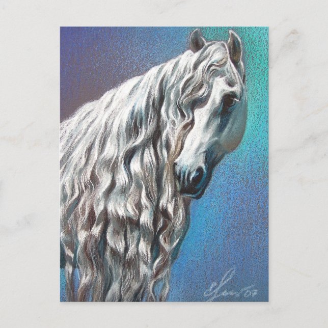 Cartão Postal Andaluz (Frente)