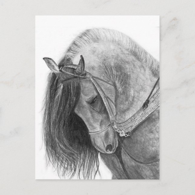 Cartão Postal Andaluz (Frente)