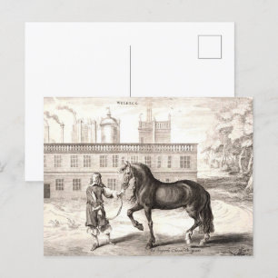Cartão Postal Andaluzia PRE Horse Vintage engrenando arte