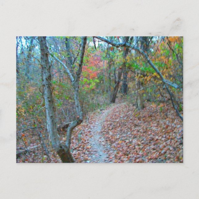 Cartão Postal Andando Pela Colina (Frente)