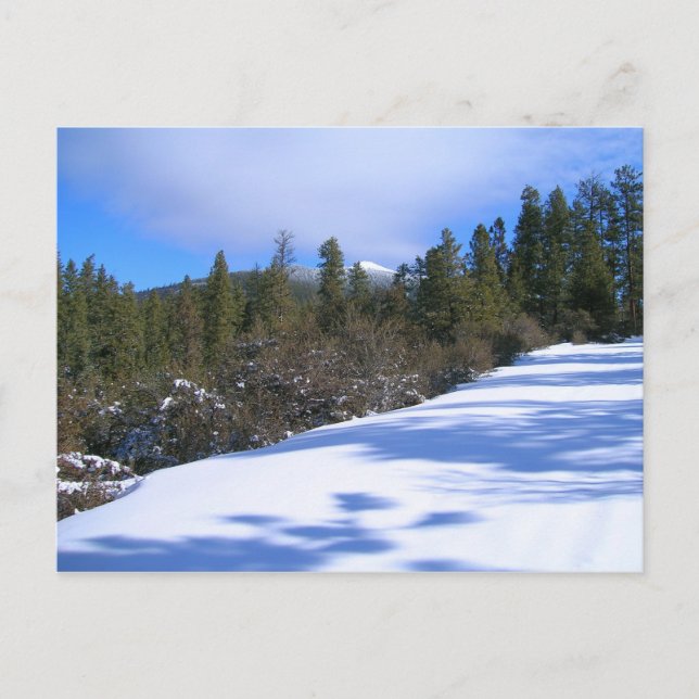 Cartão Postal Ande até Hager Mountain Fire Lookout (Frente)