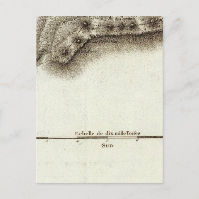 Cartão Postal andorinha (Frente)