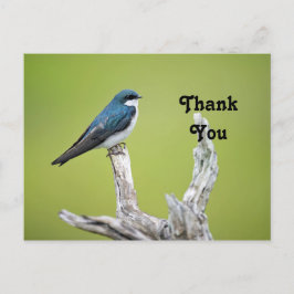 Cartão Postal Andorinha-de-árvore Obrigado