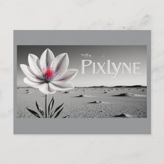 Cartão Postal Andrew Goodchild Post Card