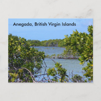 Cartão Postal Anegada BVI