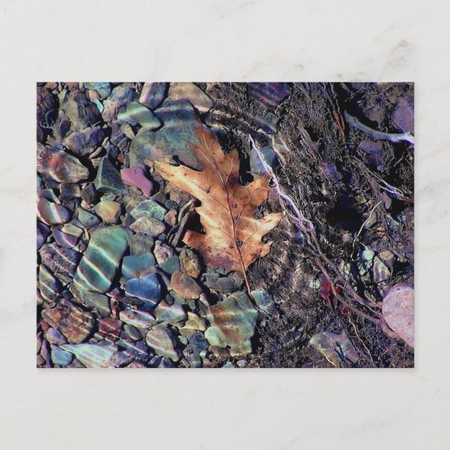 Cartão Postal anéis de água brilhante (Frente)