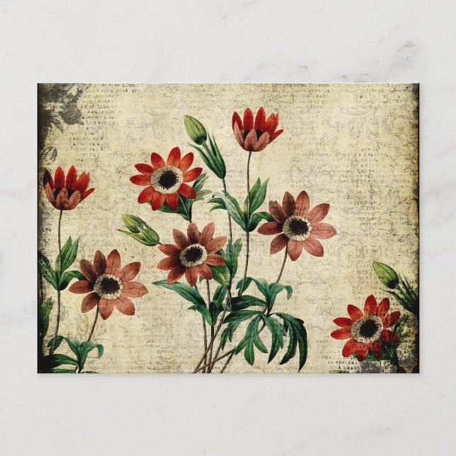 Cartão Postal Anêmonas eternos (Frente)