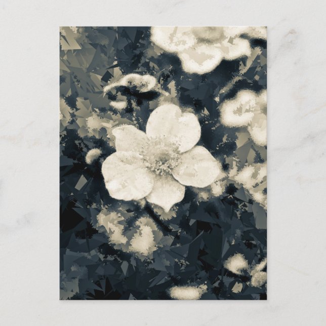 Cartão Postal Anemone (Frente)