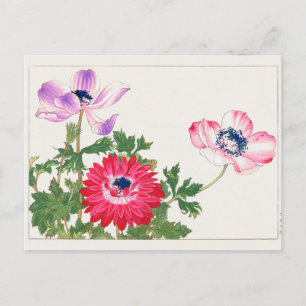 Cartão Postal Anemone coronaria por Tanigami Konan