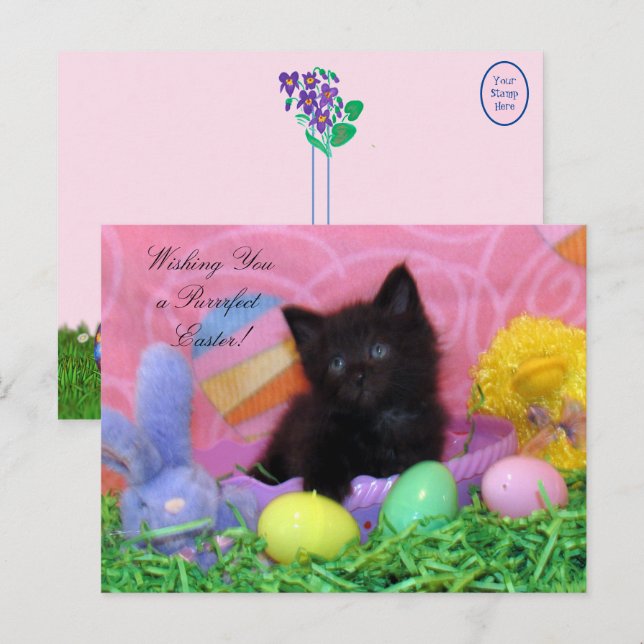Cartão Postal Angel, a Páscoa da Kitten, deseja (Frente/Verso)