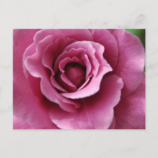 Cartão postal Angel Face II