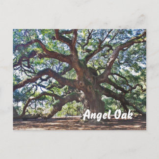 Cartão Postal Angel Oak