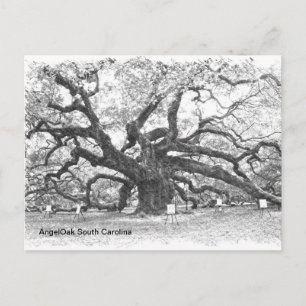 Cartão Postal Angel Oak Tree
