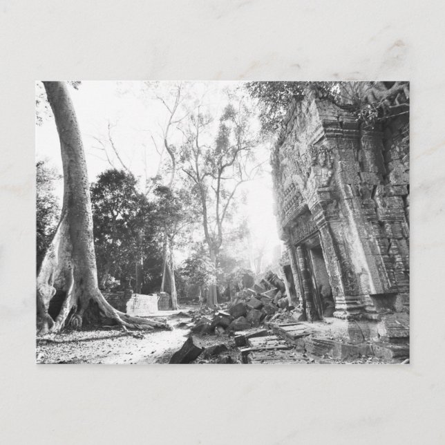 Cartão Postal Angkor Camboja, Detalhes Ta Prohm (Frente)