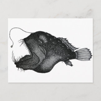 Cartão Postal Anglerfishes