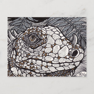 Cartão Postal Angry Iguana