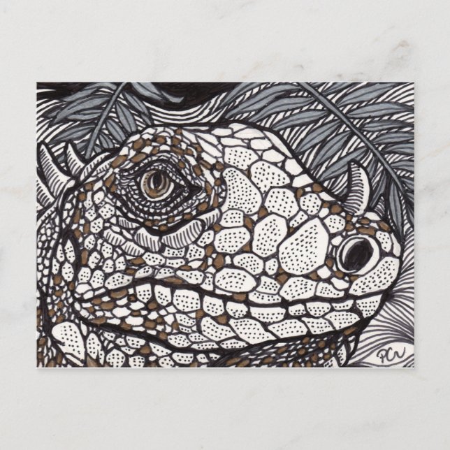 Cartão Postal Angry Iguana (Frente)