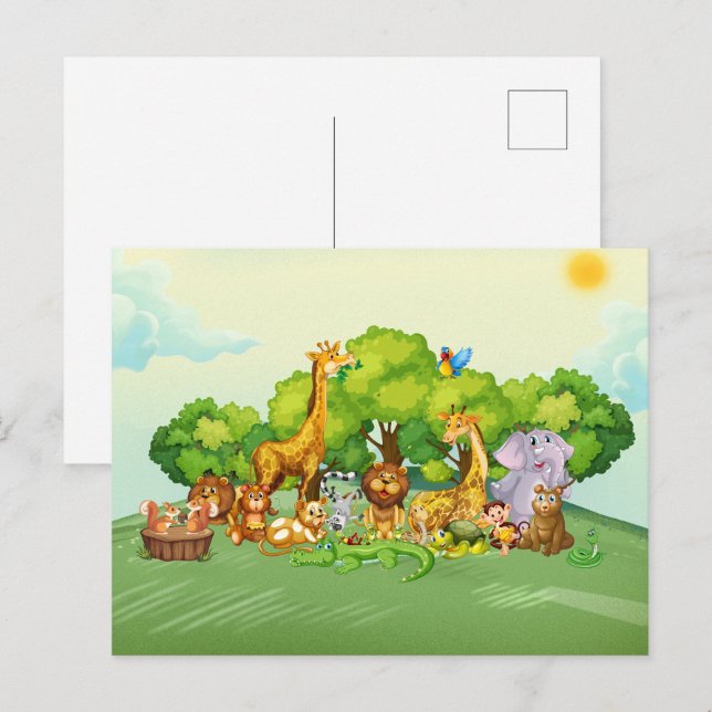 Cartão Postal Animação zoológica (Frente/Verso)