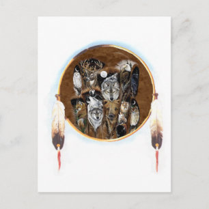 Cartão Postal Animais-1