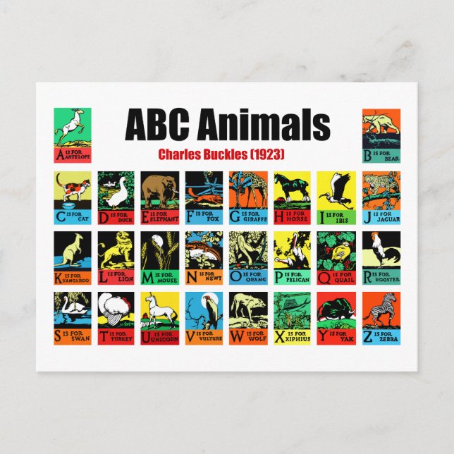Cartão Postal Animais ABC, Charles Buckles (1923) (Frente)