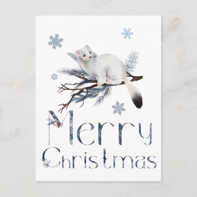 Cartão Postal Animais Ariscos Brancos Fofos Em Uma Árvore De Pin (Frente)