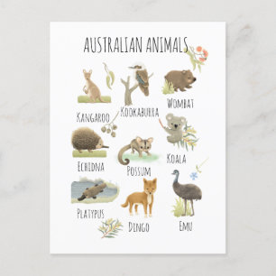 Cartão Postal Animais australianos