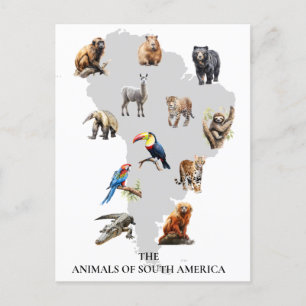 Cartão Postal Animais da América do Sul
