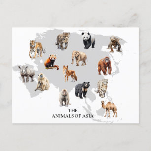 Cartão Postal Animais da Ásia