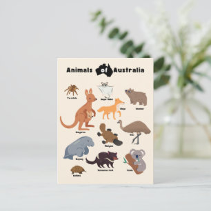 Cartão Postal Animais da Austrália Vida Selvagem Australiana