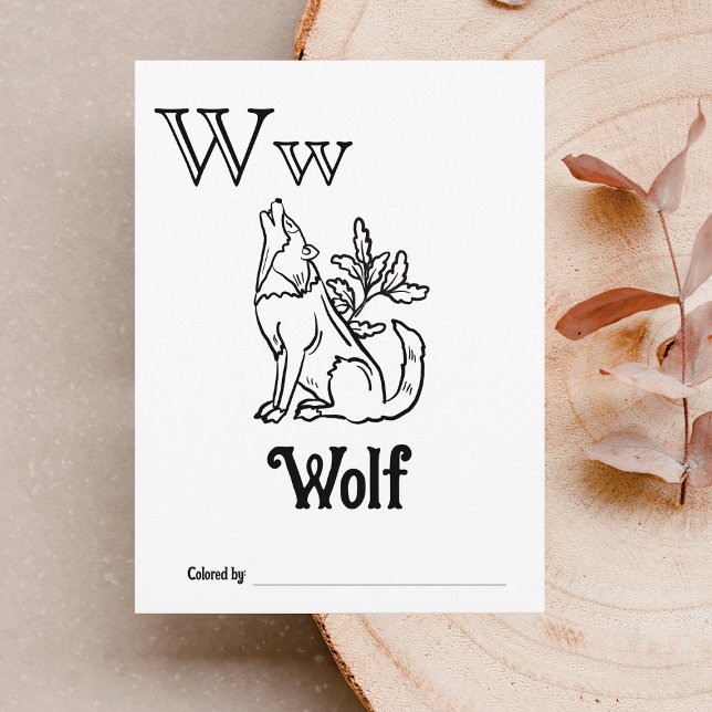 Cartão Postal Animais da Floresta Atividade de Colorir ABC Chá d (Letter W - Color Your Own Baby's First ABC's Keepsake Cards)