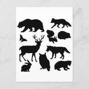 Cartão Postal Animais Da Floresta, Vida Selvagem