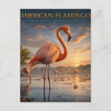Animais da Lagoa Costeira do Flamingo Americano
