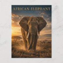 Animais da Savana do Elefante Africano