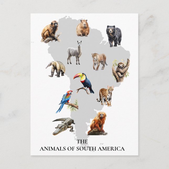 Cartão Postal Animais da Vida Selvagem da América do Sul (Frente)