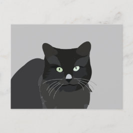 Cartão Postal Animais de companhia de gatos-do-gato
