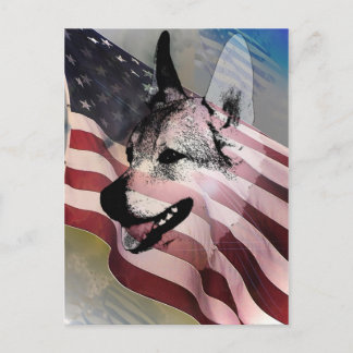 Cartão Postal Animais de estimação e veterinários resgatados