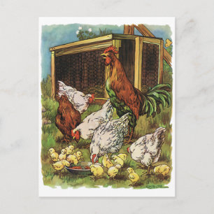 Cartão Postal Animais De Exploração Vintage, Galo, Galinhas, G